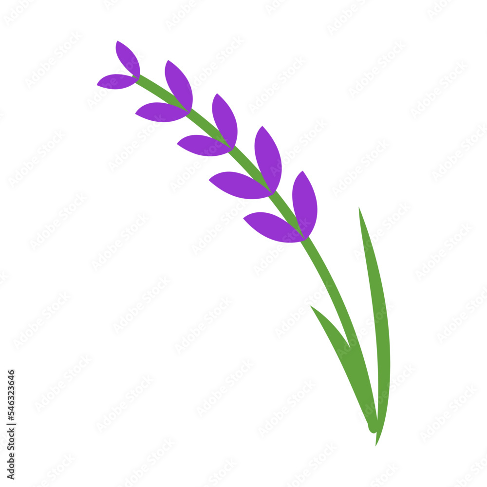 Small sprig of lavender. Colorful symbol of France. Cartoon vector illustration. France, culture, flora concept Small sprig of lavender. Colorful symbol of France. Cartoon vector illustration. France, culture, flora concept