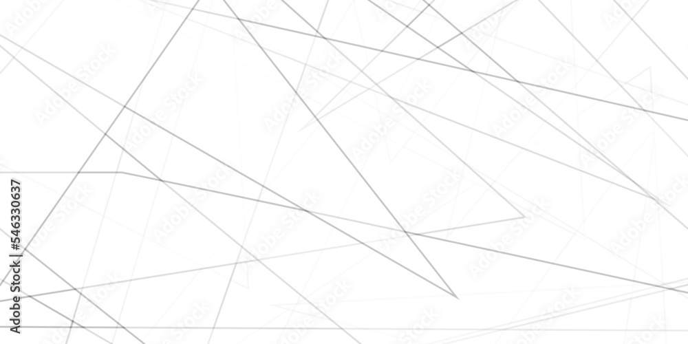 Abstract lines in black and white tone of many squares and rectangle shapes on white background. Metal grid isolated on the white background. nervures de feuilles mortes, fond rectangle and geometric Abstract lines in black and white tone of many squares and rectangle shapes on white background. Metal grid isolated on the white background. nervures de feuilles mortes, fond rectangle and geometric