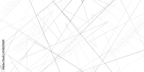 Abstract lines in black and white tone of many squares and rectangle shapes on white background. Metal grid isolated on the white background. nervures de feuilles mortes, fond rectangle and geometric