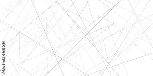 Abstract lines in black and white tone of many squares and rectangle shapes on white background. Metal grid isolated on the white background. nervures de feuilles mortes, fond rectangle and geometric