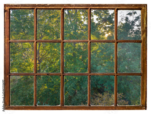 warm sun shining through tree foliage  fall scenery as seen from a vintage sash window
