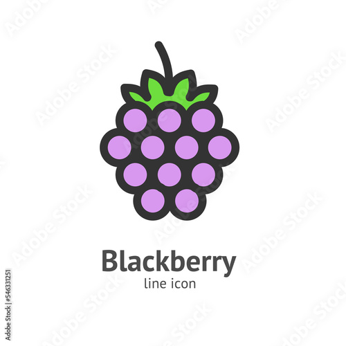 Blackberry Berry Color Thin Line Icon Concept. Vector