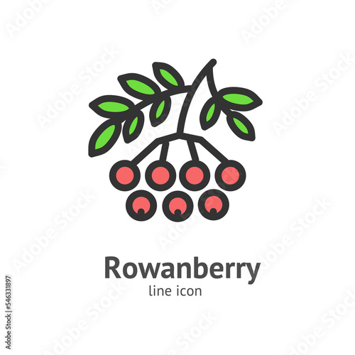 Rowanberry Berry Color Thin Line Icon Concept. Vector