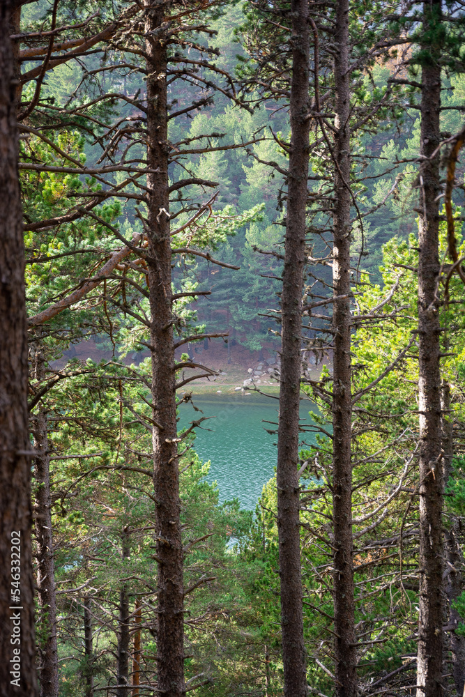 Lake Engolasters in Andorra. Coniferous trees and lake between them. Beautiful landscape.