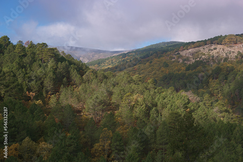 Fototapeta Naklejka Na Ścianę i Meble -  Góry drzewa krajobraz niebo chmury