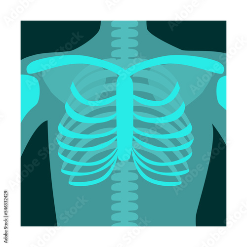 Ray of human chest front view vector illustration. Bones of skeleton, roentgen, radiography isolated on white background. Anatomy, medicine, health concept