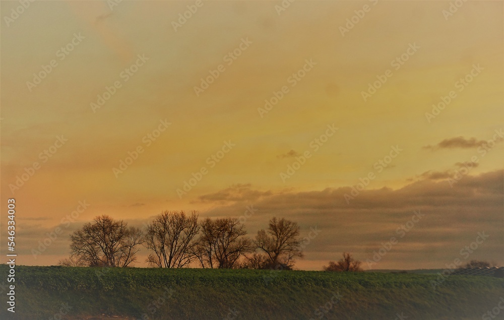 Grüne Landschaft mit Ackerfeld und Baumreihe vor goldgelbem Himmel bei Sonnenaufgang am frühen Morgen im Herbst