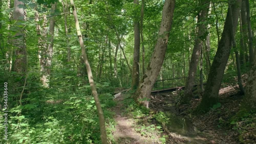 Stream In summer Forest. Sunny spring green forest river landscape. POV. Stream In summer Forest. Sunny spring green forest river landscape. POV.