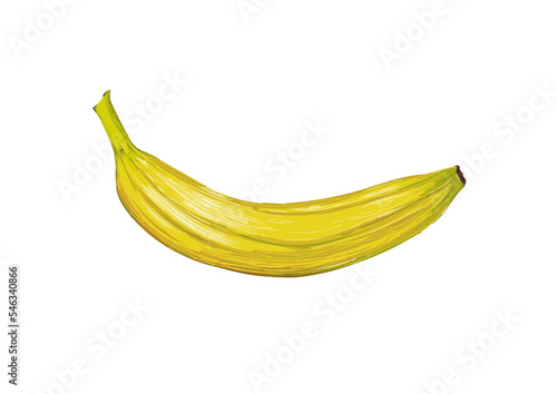 Plátano o banana ilustración (guineo maduro, guineo, cambur o gualele)