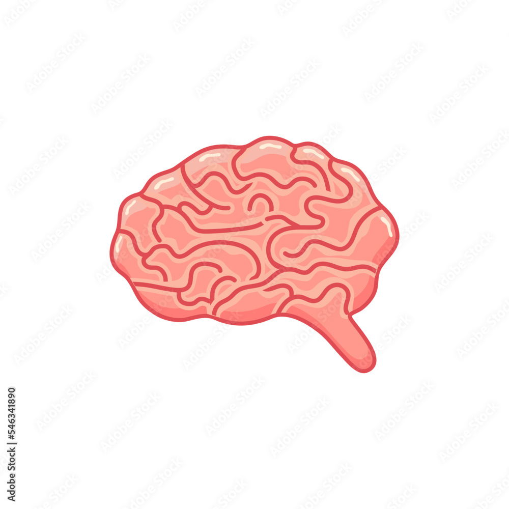 Brain icon for graphic design projects, vector