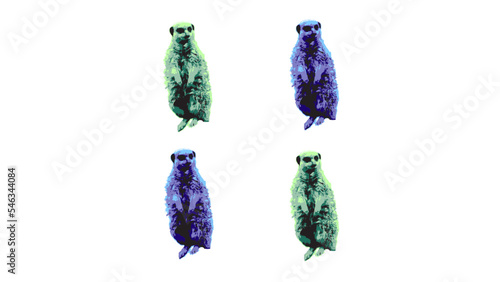 Fotografie, Obraz Pop Art meerkats pattern