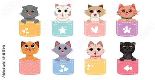 Set of cute cats in colorful pockets. Collection of pets sitting inside pocket. Funny and happy cartoon kitty characters for t-shirt design, printing. Vector cartoon illustration
