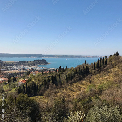 Scenic view to amazing sunset at the Adriatic sea  coast in Slovenia at summer. View to green hills and olive trees. Natural backgrounds. 