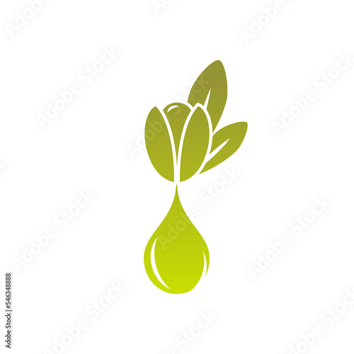 Argan nut with oil drop icon. beauty and cosmetics oil. Cosmetic ingredient carotene, carotin. Argania essential oil for skin care. Vector flat illustration isolated on white.