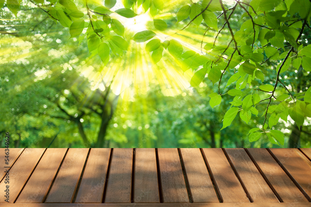 wooden table with park bokeh background wooden table with park bokeh background
