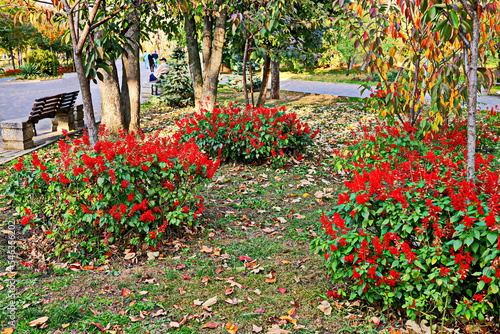 Landscape autumn views of city park with beautiful lake. Citizens relax in nature. Odessa  Ukraine. 