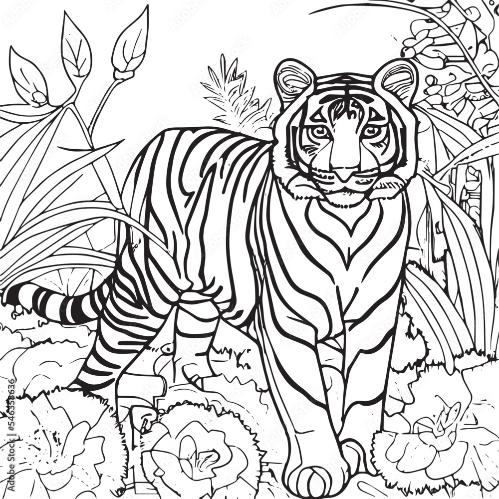 Tiger outline for coloring book. Black and white vector illustration ...