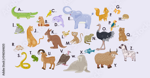 Fototapeta Naklejka Na Ścianę i Meble -  Cute wild animals Alphabet. Educational poster for kids with letters and images of mammals, birds, reptiles and fish. Element for school lesson. Cartoon flat vector illustration in scandinavian style