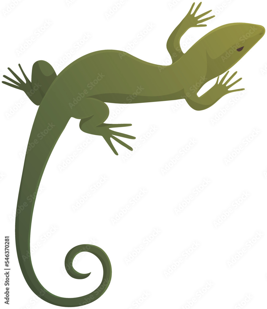 Lizard, green small reptile, species of common lizard. Vector wild