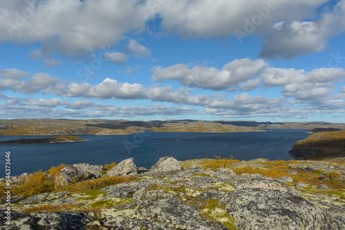 In autumn, tundra with a lake and trees with yellow leaves.