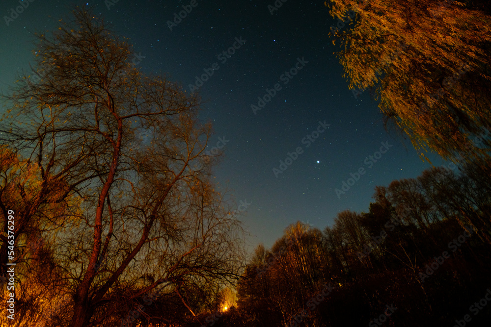Fototapeta premium River bank with trees and red glow and starry sky