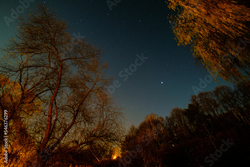 River bank with trees and red glow and starry sky