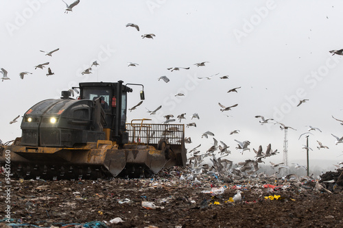 Machinery working on waste in landfill, refuse collection with bulldozer, a lots of birds