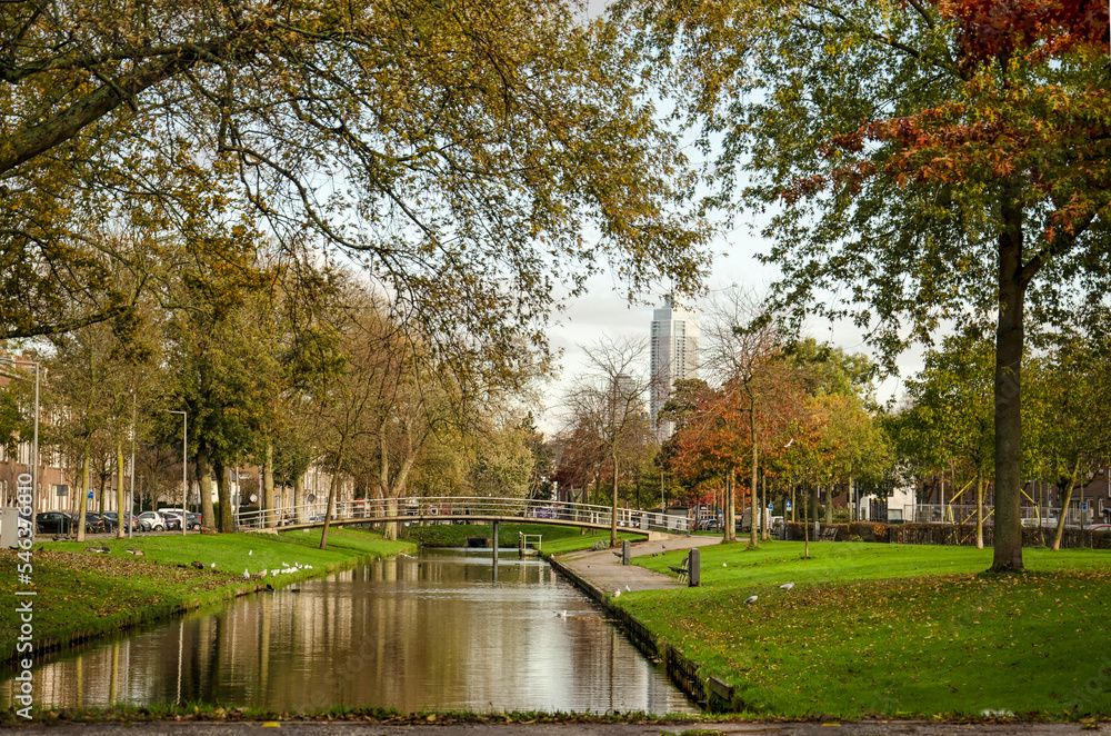Rotterdam, The Netherlands, November 5, 2022: view along Lepelaarsingel canal in Charlois neighbourhood with the downtown highrise in the distance Rotterdam, The Netherlands, November 5, 2022: view along Lepelaarsingel canal in Charlois neighbourhood with the downtown highrise in the distance