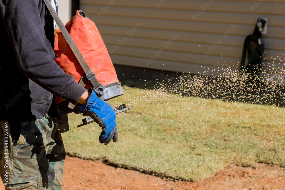 Using Seeding Device Landscapers Work With Gardeners To Plant Grass
