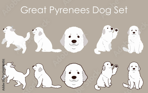 Fototapeta Naklejka Na Ścianę i Meble -  Simple and adorable Great Pyrenees Dog set illustrations
