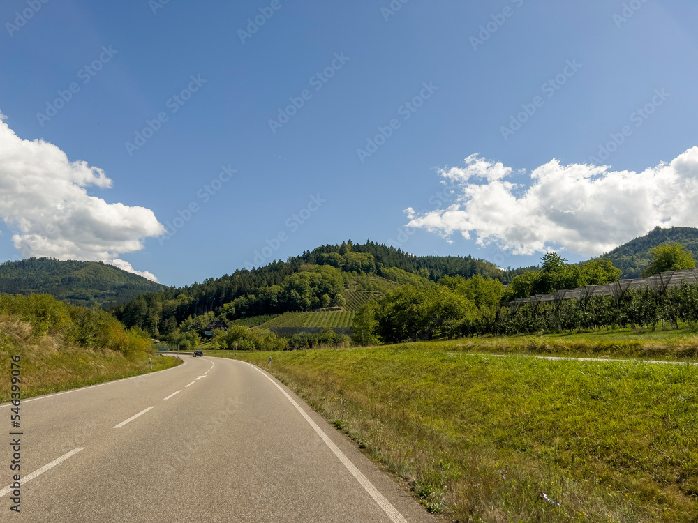 Drive towards the Black Forest at the apple orchards and vineyards. Germany.