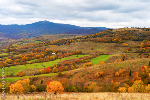Colorful mountain landscape autumn trees
