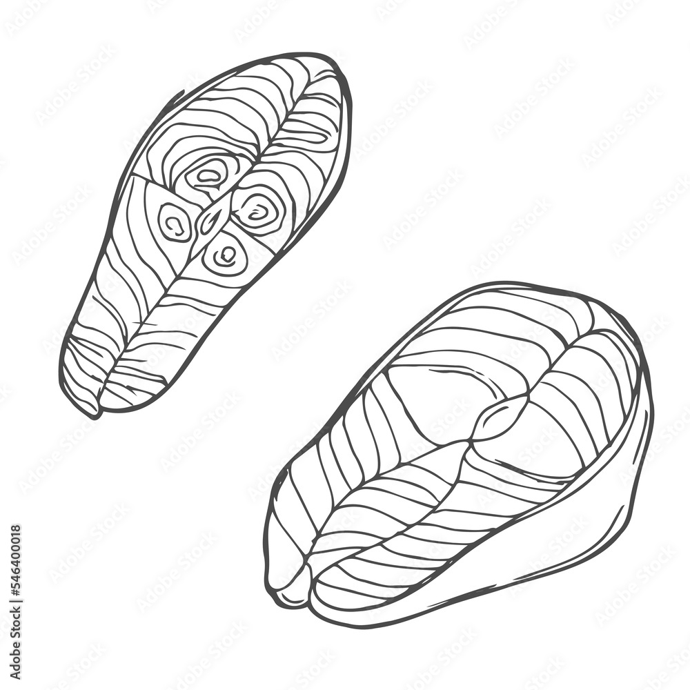 Set of vector sketches of the pieces of fish isolated on white background. Line silhouette handmade salmon steak. Sea food Set of vector sketches of the pieces of fish isolated on white background. Line silhouette handmade salmon steak. Sea food