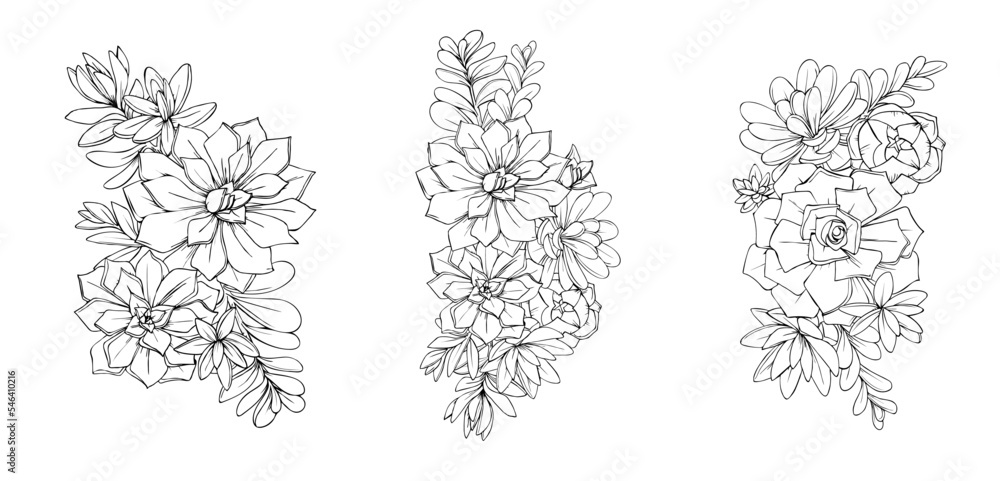 Fototapeta premium illustration of succulents flowers graphic decorative element black and white