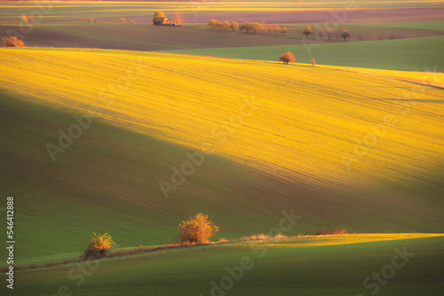 Sunset or sunrise golden light over rolling hills and rural countryside landscape farmland in the Hodonin District of South Moravia in the Czech Republic. photo
