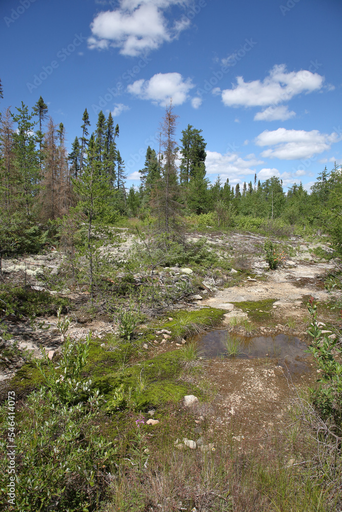 Chapleau Crown Game Preserve / Chapleau Crown Game Preserve /