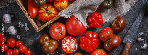 Many different breeds, shapes and sizes of tomatoes in an old wooden box and on a dark surface, flat lay, top view, banner. The concept of harvesting and processing vegetables