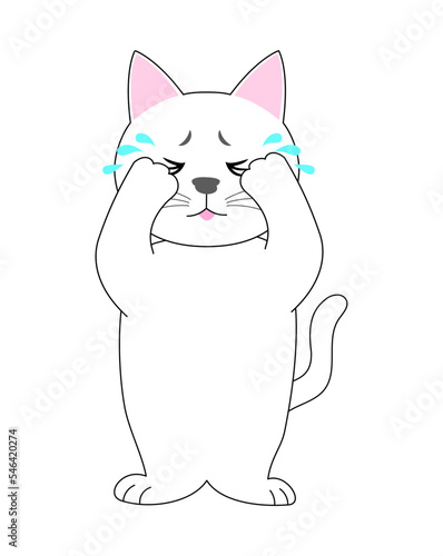A White Kitten crying with a white background