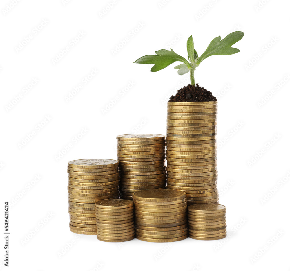 Stacks of coins and green plant on white background. Investment concept Stacks of coins and green plant on white background. Investment concept