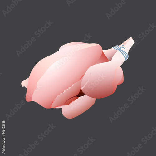 Chick meat Isolated on black background. Vector illustration