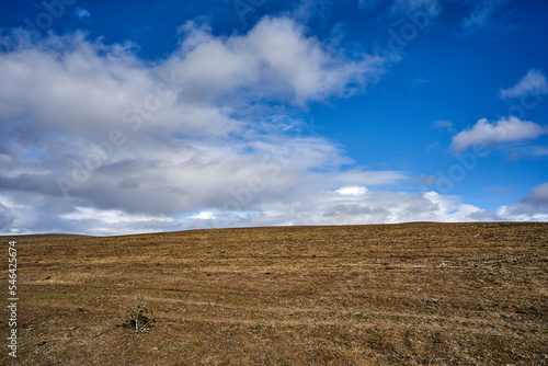 Canvas-taulu fallow hillside beneath a blue sky with white clouds in autumn