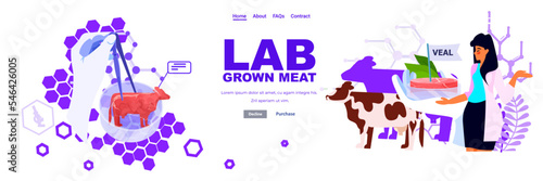 scientist holding cultured red raw veal made from animal cells artificial lab grown meat production concept