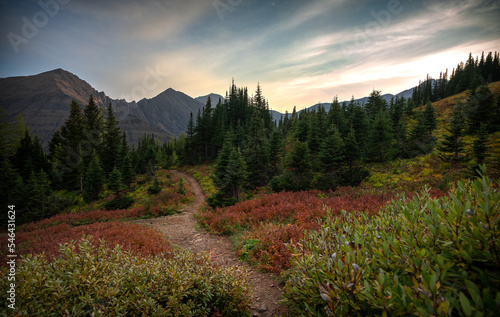 Ptarmigan Cirque hiking trail with stunning mountain vistas in Alberta. 