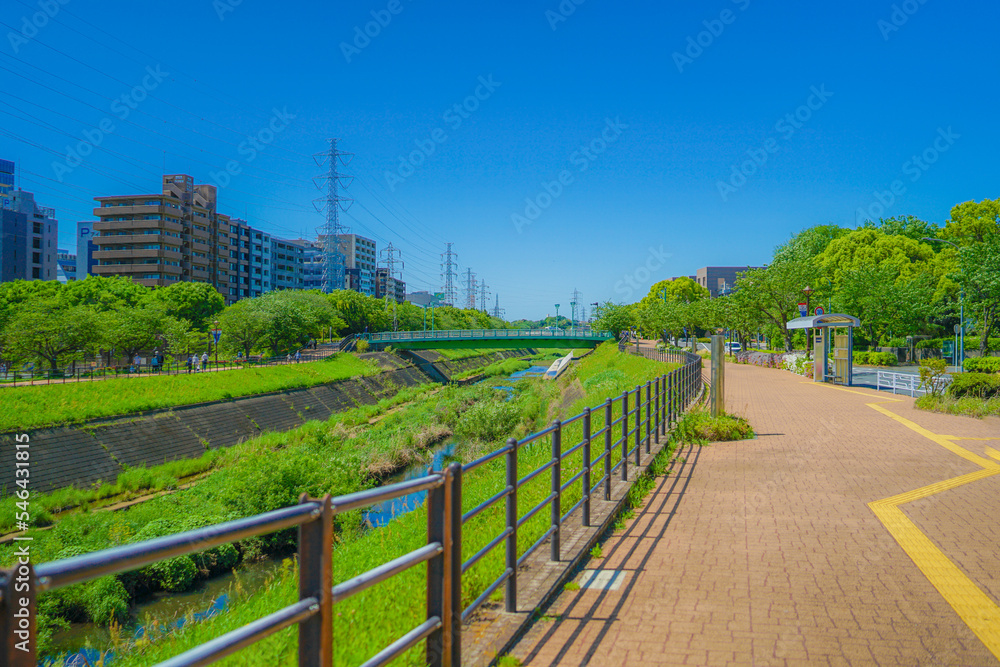 新横浜の風景（新横浜公園）