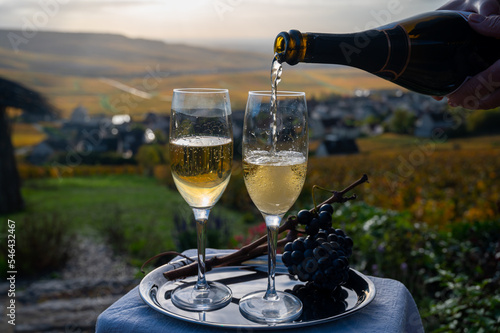 Obraz na płótnie Tasting of premier cru sparkling white wine with bubbles champagne on outdoor te