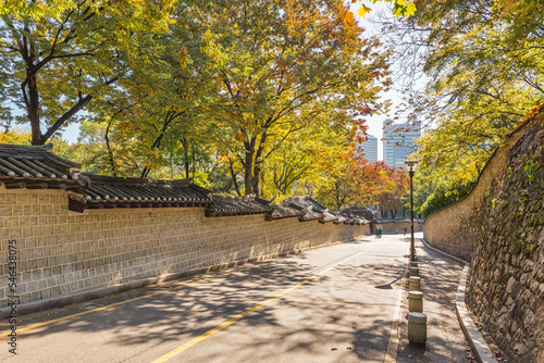 서울 덕수궁 돌담길의 가을풍경