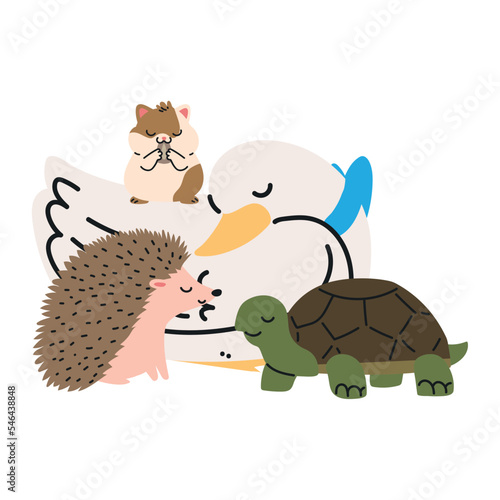 pets animals cartoon