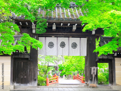 Imamiya Jinjya Shrine and approach , Kyoto, Japan photo