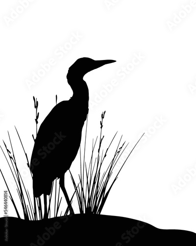 Fotografie Silhouette of a Heron, heron vector, Silhouette of a bird.