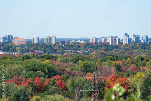 kitchener skyline in early fall